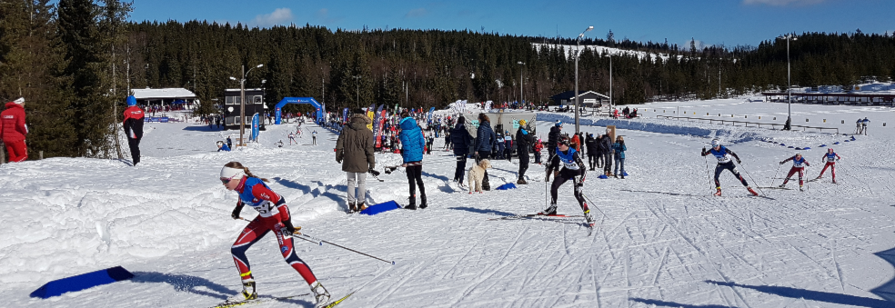 Sprintstafettcross - Nordåsenrennet 2020
